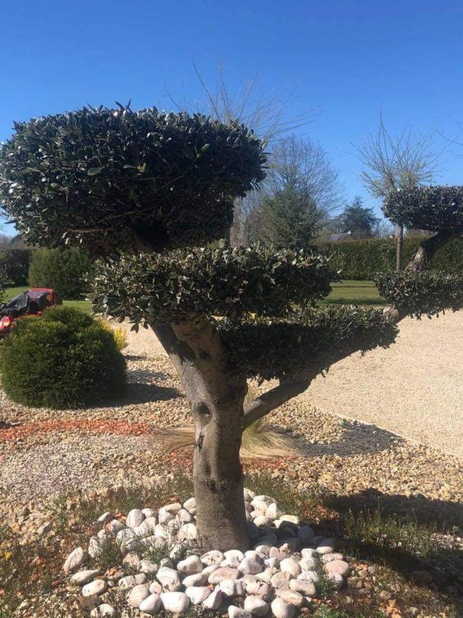 La Cottiniere Panzió Dreffeac Kültér fotó